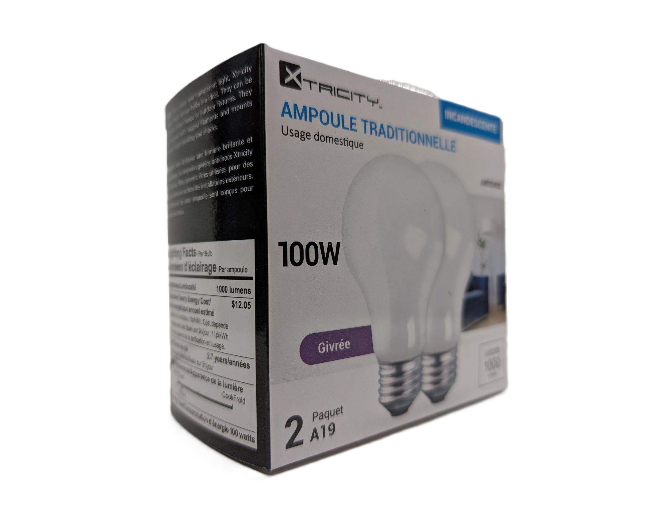 LIT-03: GLOBE FROSTED LIGHT BULB / AMPOULE GIVRÉE 100W (1X2)
