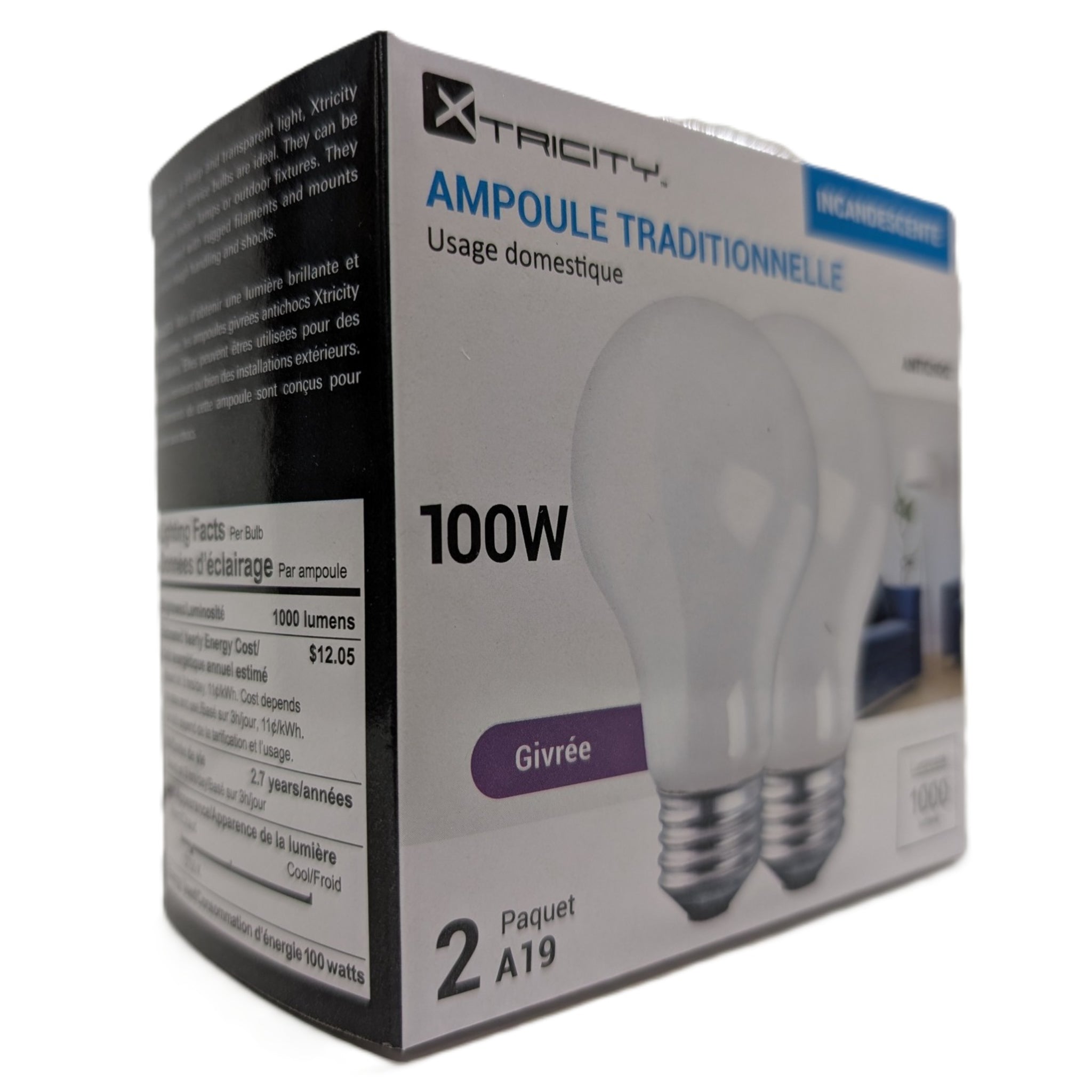 Ampoule Givrée 40W - 24/Caisse (SKU : LIT-01)