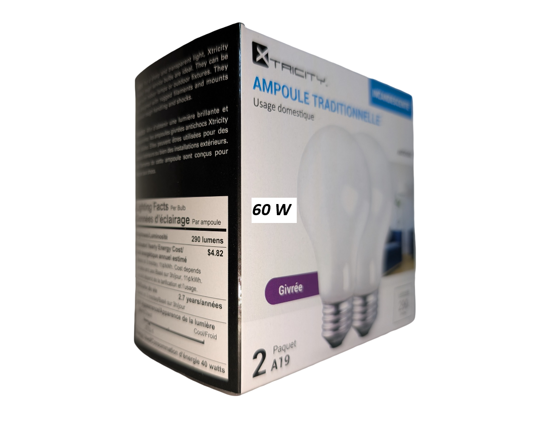 LIT-02: GLOBE  FROSTED LIGHT BULB / AMPOULE GIVRÉE 60W (1X2)