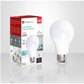 LIT-19: LED LIGHT BULB / AMPOULE LED (40W)